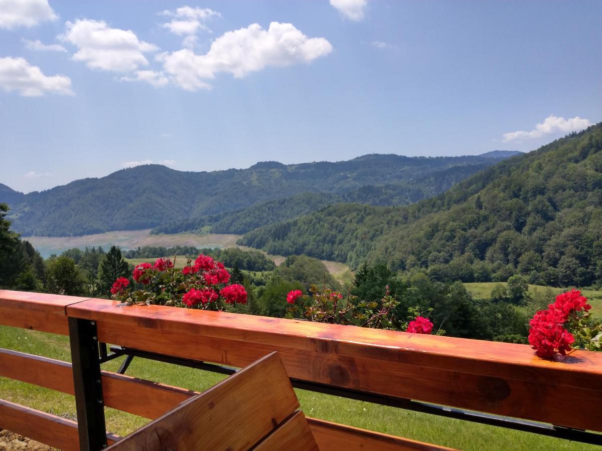 Zaovinska Panorama I Daire Bajina Basta Dış mekan fotoğraf