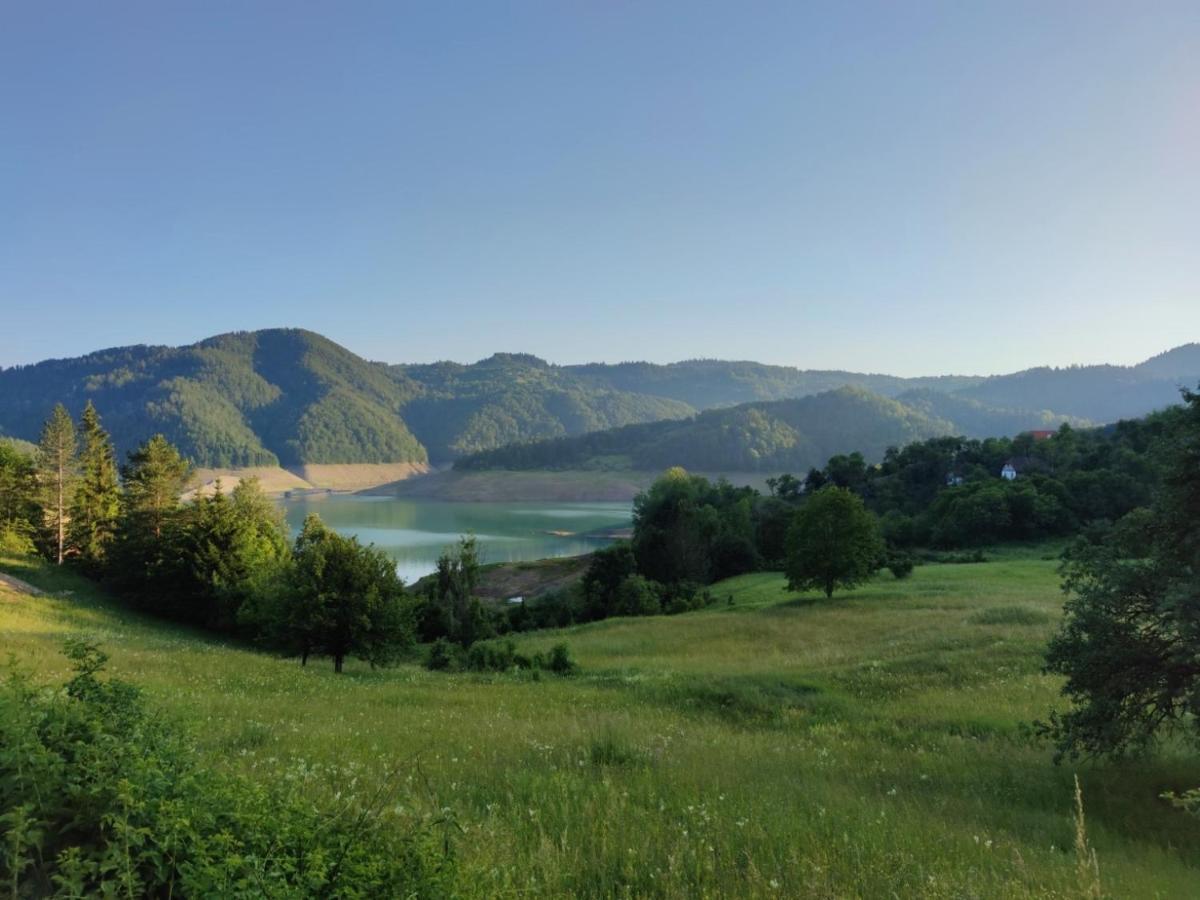 Zaovinska Panorama I Daire Bajina Basta Dış mekan fotoğraf