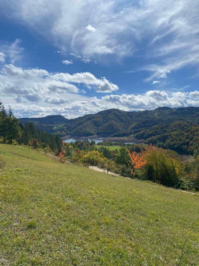 Zaovinska Panorama I Daire Bajina Basta Dış mekan fotoğraf