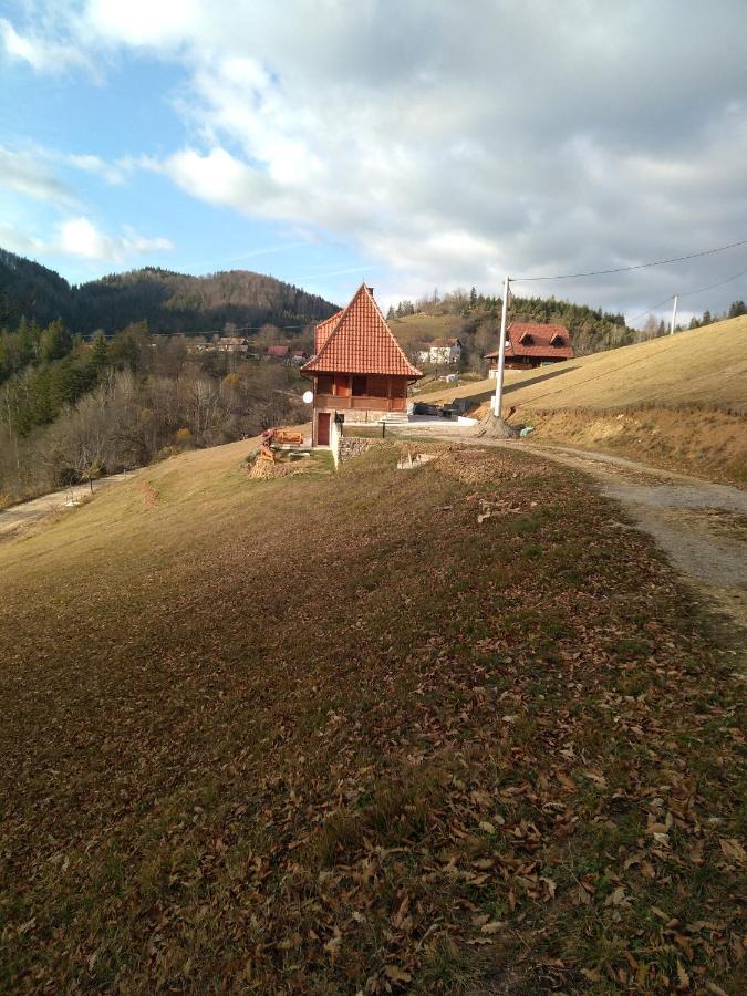 Zaovinska Panorama I Daire Bajina Basta Dış mekan fotoğraf