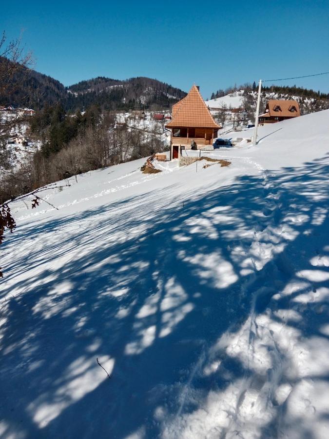 Zaovinska Panorama I Daire Bajina Basta Dış mekan fotoğraf