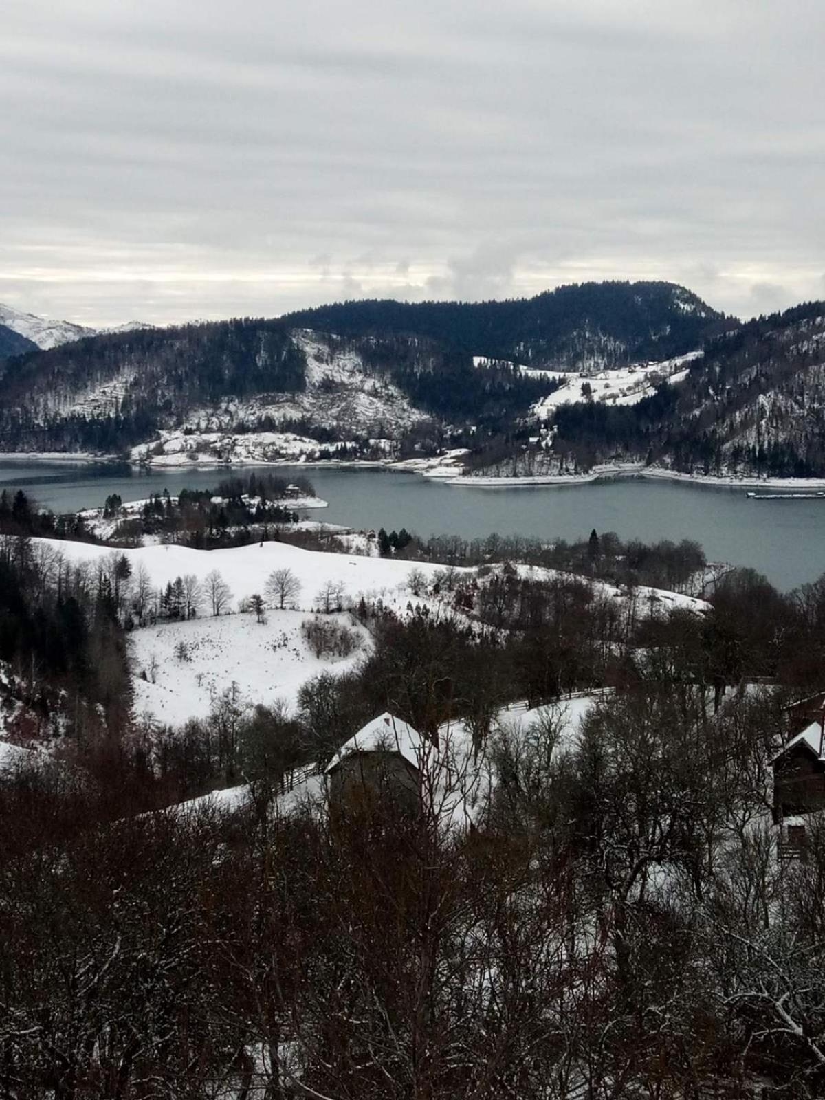 Zaovinska Panorama I Daire Bajina Basta Dış mekan fotoğraf