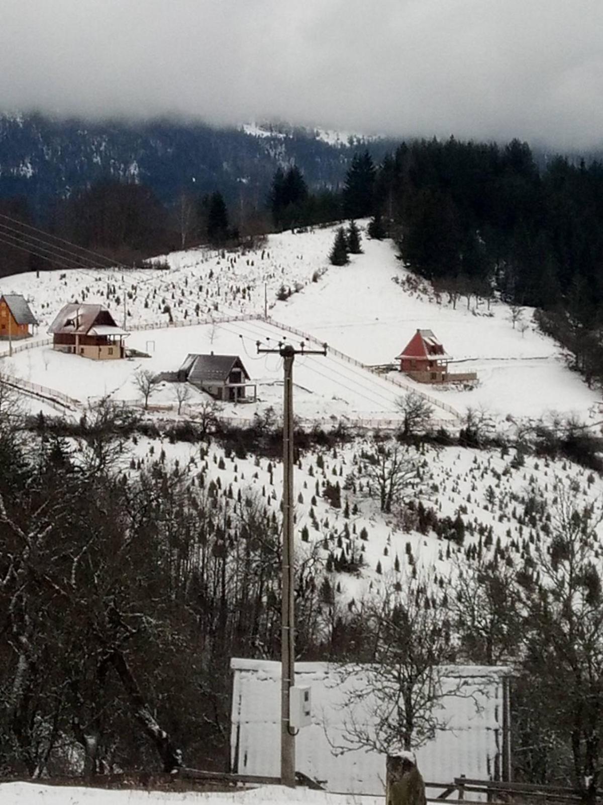 Zaovinska Panorama I Daire Bajina Basta Dış mekan fotoğraf