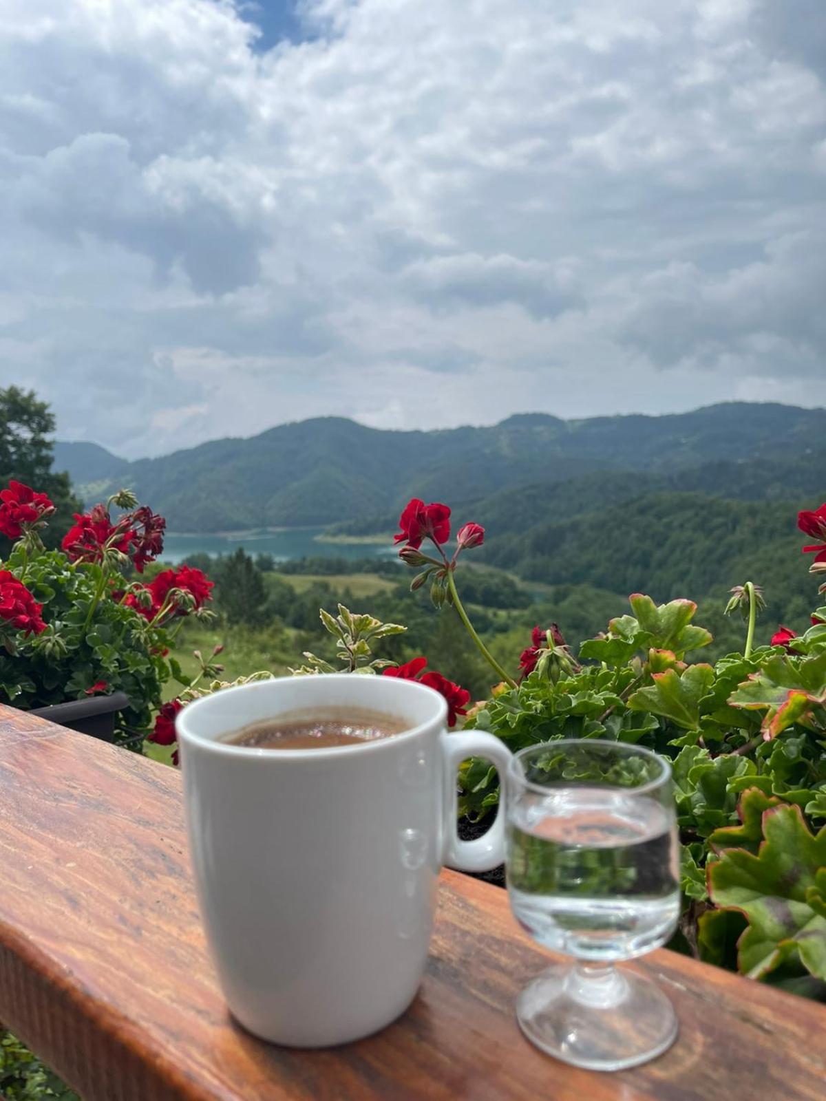 Zaovinska Panorama I Daire Bajina Basta Oda fotoğraf