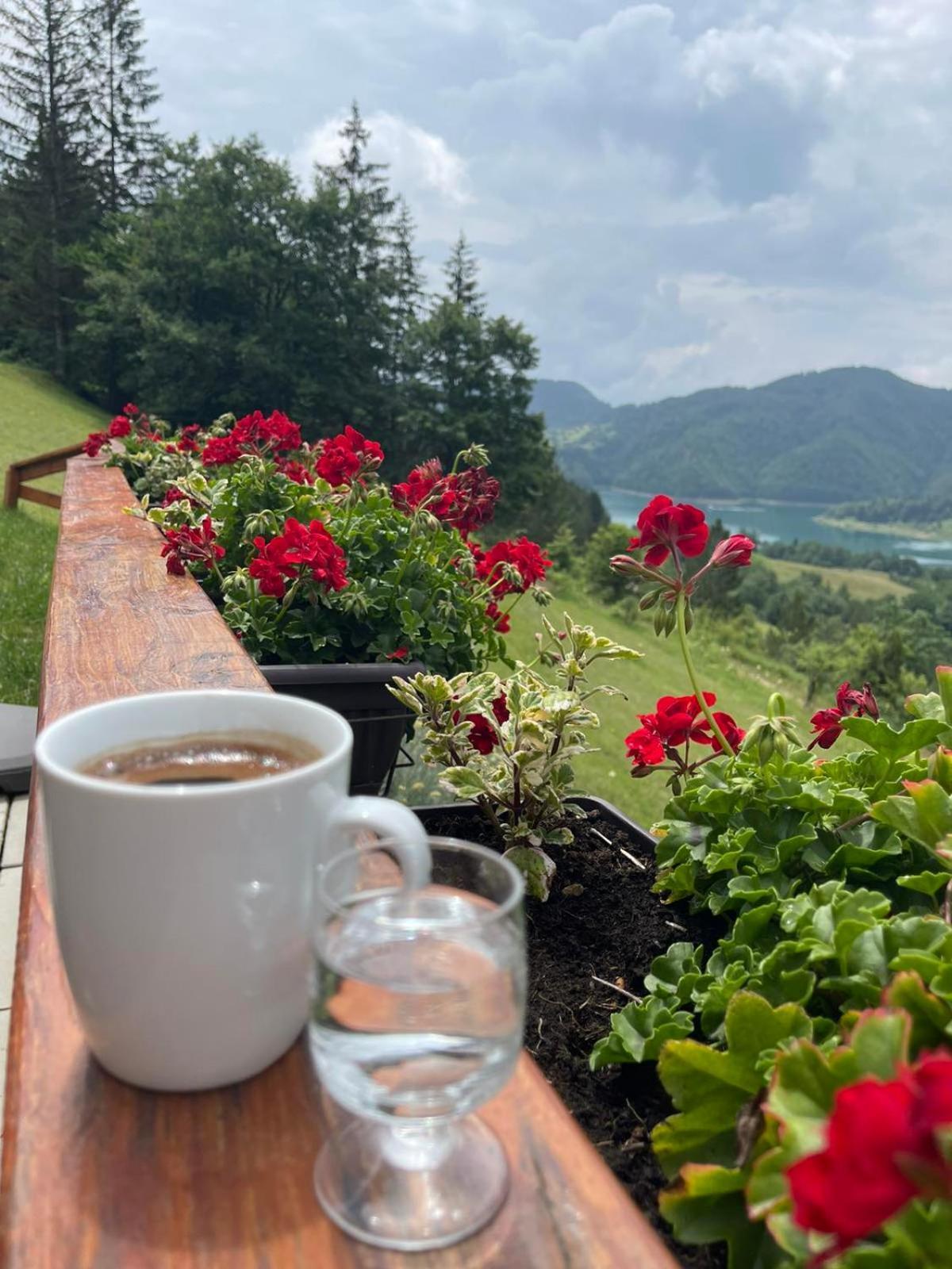 Zaovinska Panorama I Daire Bajina Basta Oda fotoğraf