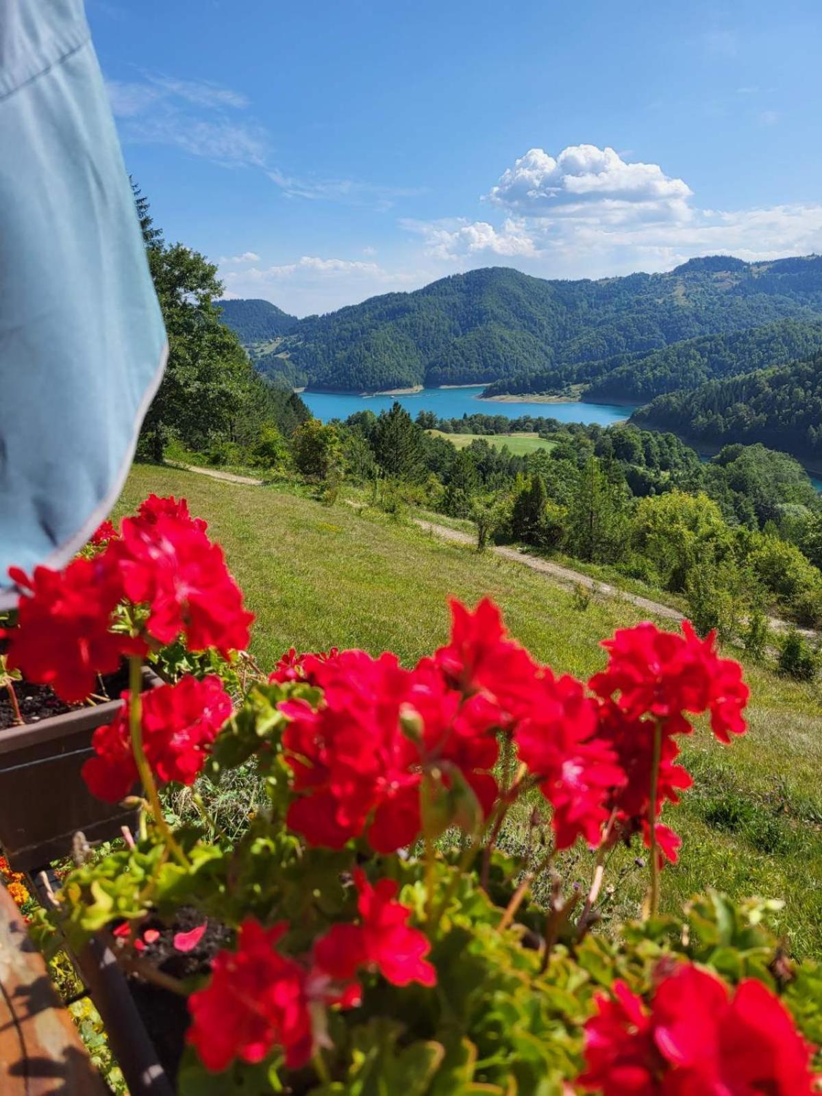 Zaovinska Panorama I Daire Bajina Basta Dış mekan fotoğraf